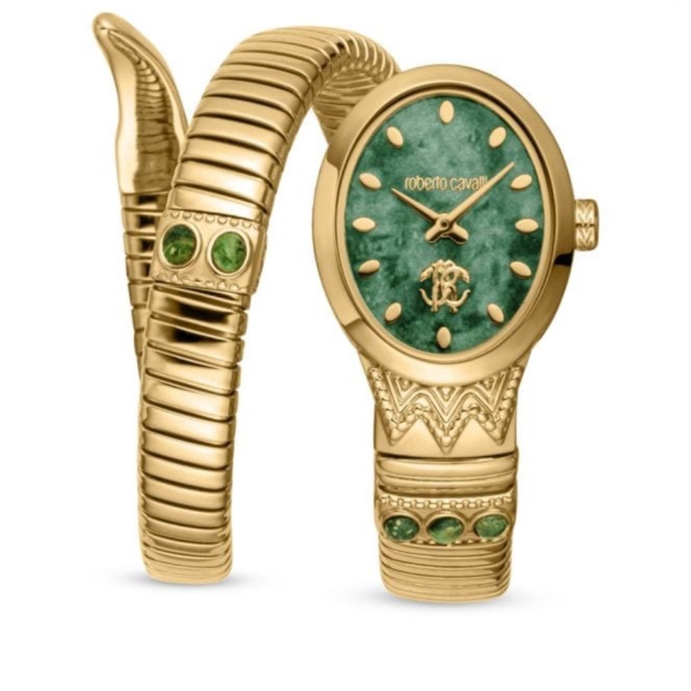 Roberto Cavalli Gold and Green Women's Watch